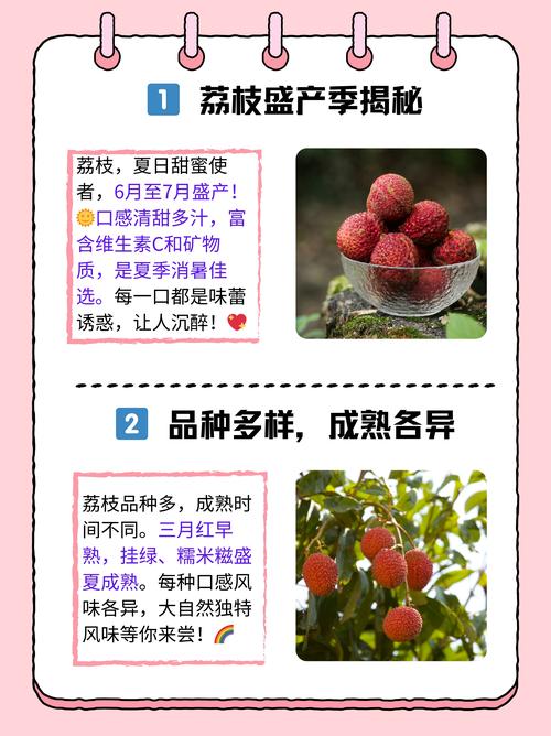 今晚开特马+开奖结果91和拍800斤贵妃同款荔枝与贵妃荔枝拍卖多少钱一颗