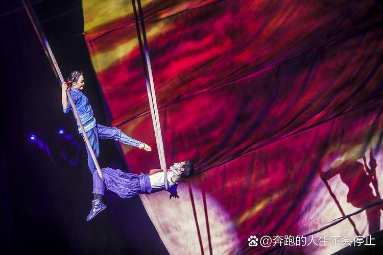 2025新澳门天天开奖直播和杂技演员表演中摔落与杂技演员表演中摔落的是谁